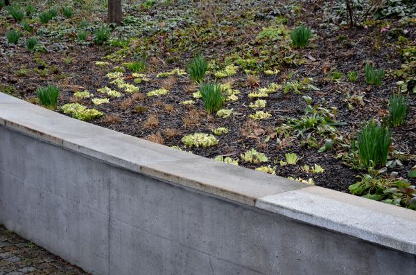 Concrete Wall Construction in Fishers