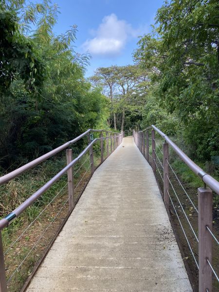 Footpath Construction in Fishers