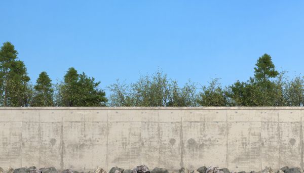 Privacy Wall Construction in Fishers