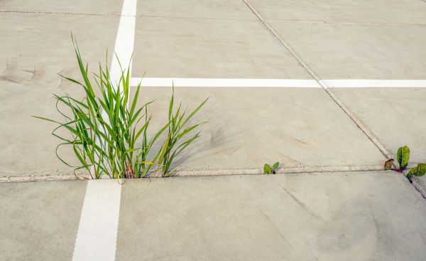 Concrete Parking Installation in Fishers