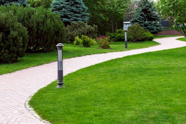 Backyard Sidewalk Installation in Fishers